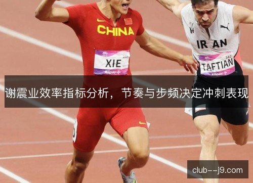 谢震业效率指标分析，节奏与步频决定冲刺表现